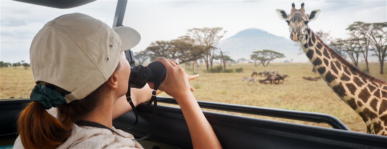 Safári na Tanzânia: uma jornada emocionante, repleta de significados 